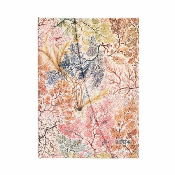 Paperblanks 2024 Anemone William Kilburn 12-Month MIDI Horizontal Wrap Closure 160 Pg 100 GSM Paperblanks 2024 Anemone William Kilburn 12-Month MIDI Horizontal Wrap Closure 160 Pg 100 GSM