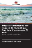 Impacts climatiques des vagues de l'Atlantique Sud lors d'une année El Niño