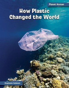 How Plastic Changed the World - Feldstein, Stephanie