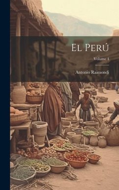 El Perú; Volume 4 - Raimondi, Antonio