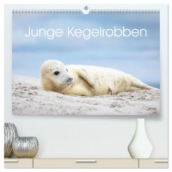 Junge Kegelrobben (hochwertiger Premium Wandkalender 2024 DIN A2 quer), Kunstdruck in Hochglanz - Oberholzer - www.davidoberholzer.ch, David
