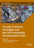 Circular Economy Strategies and the UN Sustainable Development Goals (eBook, PDF)