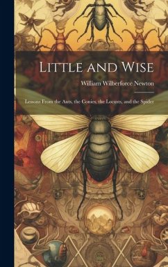 Cover Little and Wise; Lessons From the Ants, the Conies, the Locusts, and the Spider