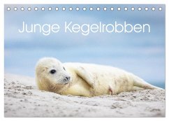Junge Kegelrobben (Tischkalender 2024 DIN A5 quer), CALVENDO Monatskalender - Oberholzer - www.davidoberholzer.ch, David