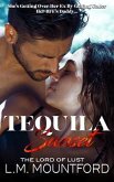Tequila Sunset: A Forbidden Age-Gap Holiday Dark Romance