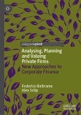 Analysing, Planning and Valuing Private Firms (eBook, PDF)