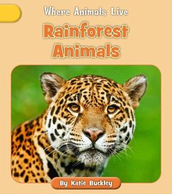 Rainforest Animals - Buckley, Katie