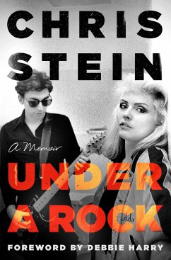 Under a Rock - Stein, Chris