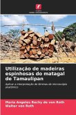 Utilização de madeiras espinhosas do matagal de Tamaulipan