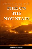 Fire on the Mountain: Addressing Idolatry (eBook, ePUB)