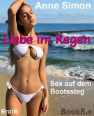 Liebe im Regen (eBook, ePUB)