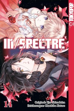 In/Spectre, Band 14 (eBook, ePUB) - Shirodaira, Kyo