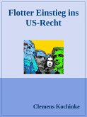 Flotter Einstieg ins US-Recht (eBook, ePUB)