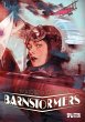 Barnstormers - Bild 1