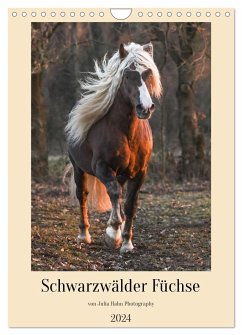 Schwarzwälder Füchse von Julia Hahn Photography (Wandkalender 2024 DIN A4 hoch), CALVENDO Monatskalender