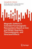 Magnetic Solitons in Extended Ferromagnetic Nanosystems Based on Iron and Nickel: Quantum, Thermodynamic, and Structural Effects (eBook, PDF)