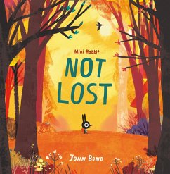 Cover Mini Rabbit Not Lost (eBook, ePUB)
