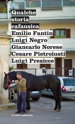Qualche storia cafausica - Norese, Giancarlo; Negro, Luigi; Pietroiusti, Cesare