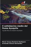 Il sottobacino medio del fiume Ayuquila