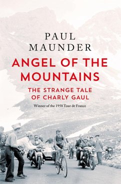 Angel of the Mountains (eBook, ePUB) - Maunder, Paul