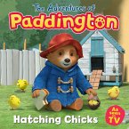 Hatching Chicks (eBook, ePUB) Hatching Chicks (eBook, ePUB)