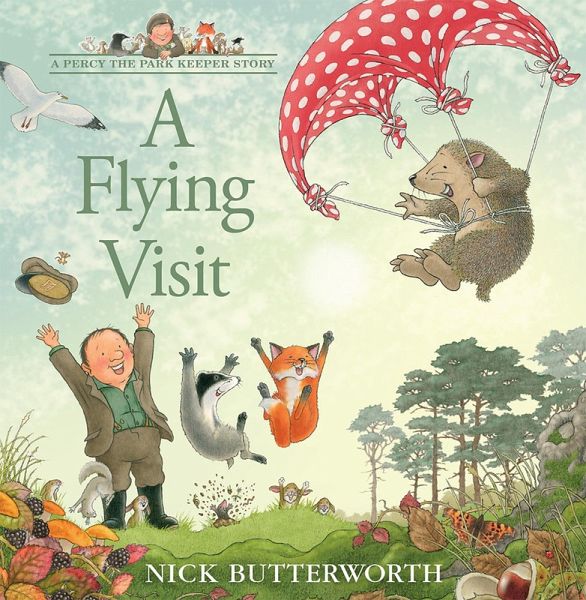 A Flying Visit (eBook, ePUB)