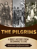 The Pilgrims: A Brief Overview from Beginning to the End (eBook, ePUB)