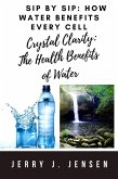 Sip by Sip: How Water Benefits Every Cell (fitness, #13) (eBook, ePUB) Sip by Sip: How Water Benefits Every Cell (fitness, #13) (eBook, ePUB)