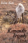 Komandir brigady (eBook, ePUB)