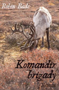 Komandir brigady (eBook, ePUB) - Bade, Robin