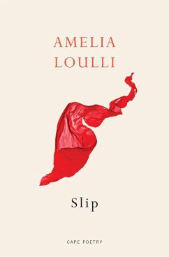 Slip (eBook, ePUB) - Loulli, Amelia