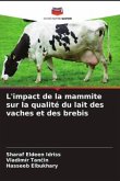 L'impact de la mammite sur la qualité du lait des vaches et des brebis