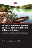 Analyse microbiologique de l'eau potable dans un village indigène
