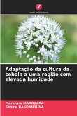 Adaptação da cultura da cebola a uma região com elevada humidade