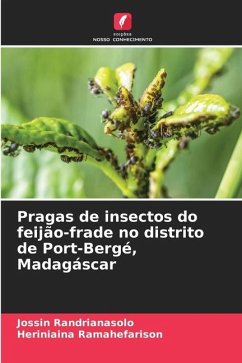 Pragas de insectos do feijão-frade no distrito de Port-Bergé, Madagáscar - Randrianasolo, Jossin;Ramahefarison, Heriniaina