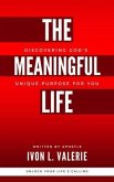 The Meaningful Life (eBook, ePUB)
