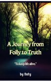 A Journey from Folly to Truth (Iron Bronze Silver, #2) (eBook, ePUB)