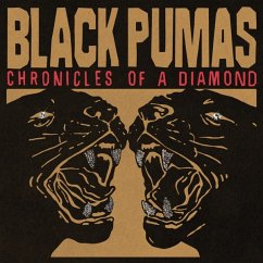 Chronicles Of A Diamond - Black Pumas