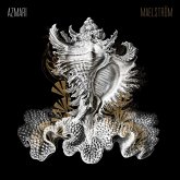 Maelstroem (Lp)