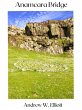 Anamcara Bridge (eBook, ePUB) - Bild 1