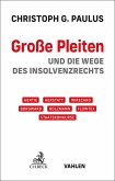 Große Pleiten (eBook, PDF)
