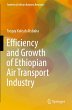 Efficiency and Growth of Ethiopian Air... - Bild 1