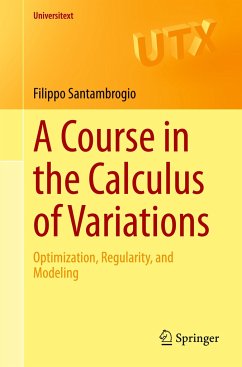 A Course in the Calculus of Variations - Santambrogio, Filippo