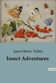 Insect Adventures