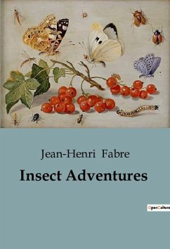 Insect Adventures - Fabre, Jean-Henri