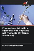 Formazione del callo e rigenerazione vegetale nel frumento (Triticum aestivum)