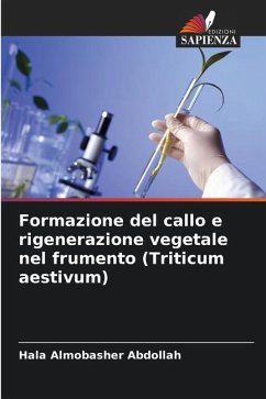 Formazione del callo e rigenerazione vegetale nel frumento (Triticum aestivum) - Abdollah, Hala Almobasher