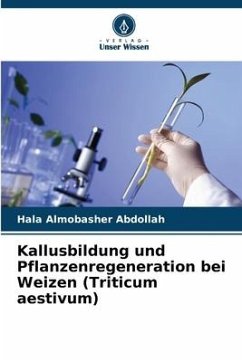 Kallusbildung und Pflanzenregeneration bei Weizen (Triticum aestivum) - Abdollah, Hala Almobasher