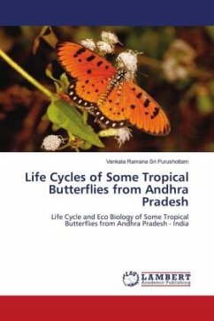 Life Cycles of Some Tropical Butterflies from Andhra Pradesh - Sri Purushottam, Venkata Ramana