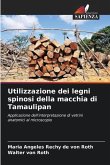 Utilizzazione dei legni spinosi della macchia di Tamaulipan